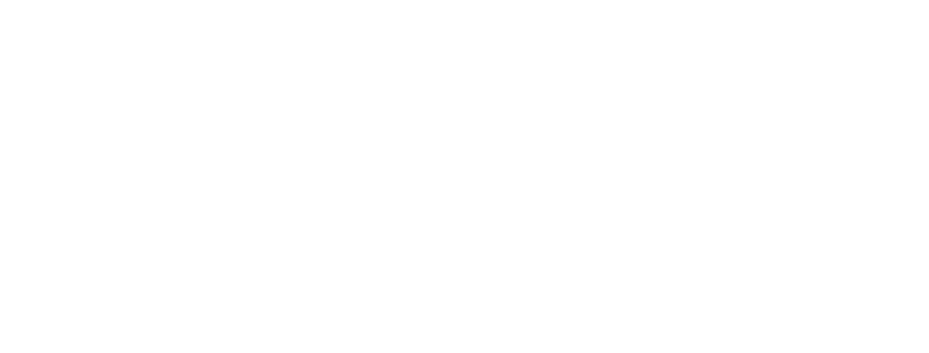 Weise toys collectables 